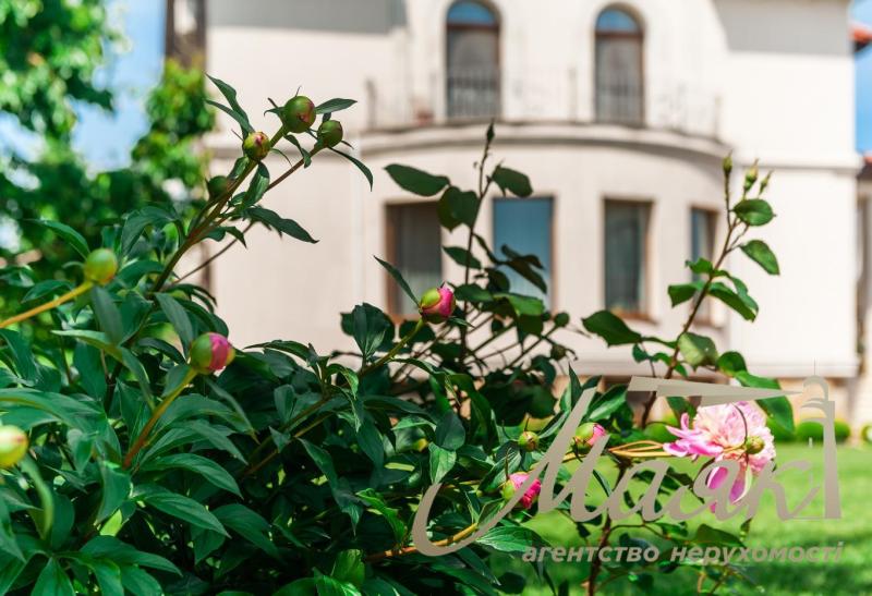 Будинок у центрі міста.